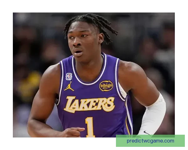 湖人队召回巴夫金与蒂耶罗加强中锋位置深度补充 湖人队召回巴夫金与蒂耶罗加强中锋位置深度补充